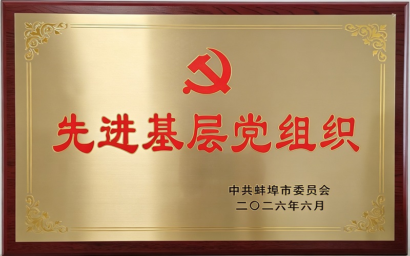 喜报｜公司荣获蚌埠市 “先进基层党组织” 荣誉称号